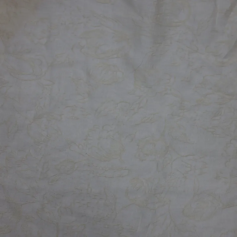 5A5033#Tulip (3)